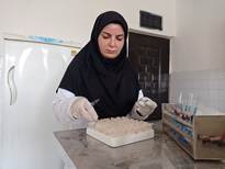 تشریح اقدامات شبکه دامپزشکی درگز در راستای پایش بیماریهای مشترک بین انسان و دام